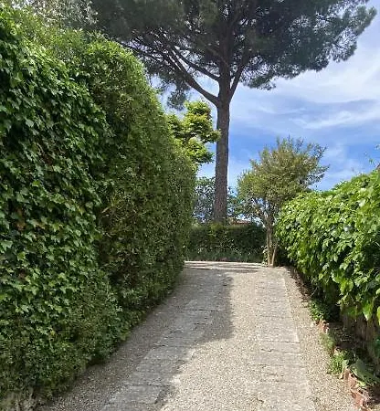 Magnolia In The Heart Of Villa Cetona