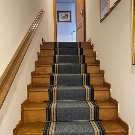 Magnolia In The Heart Of Villa